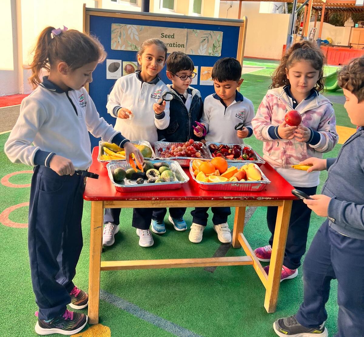 KG2 Investigates Plans in the Outdoor