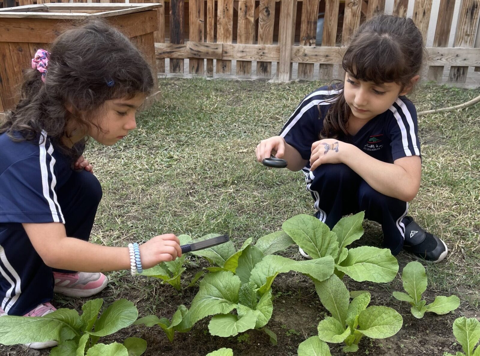 G1 Discovering Plants Parts & Needs